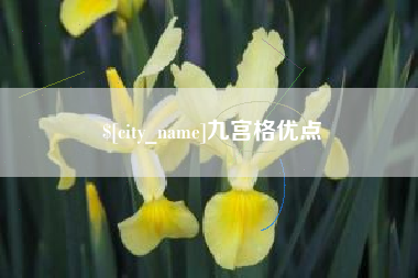 果洛九宫格优点