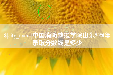 果洛中国消防救援学院山东2020年录取分数线是多少