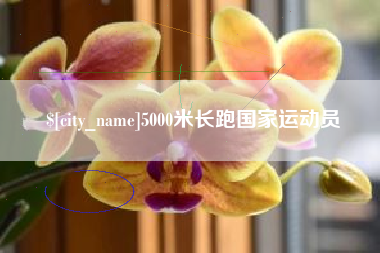 果洛5000米长跑国家运动员
