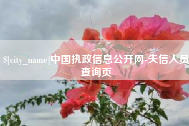 果洛中国执政信息公开网-失信人员查询页