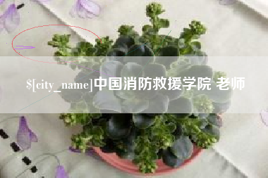 果洛中国消防救援学院 老师