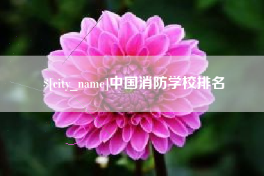果洛中国消防学校排名