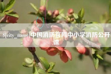 果洛中国消防官网中小学消防公开课