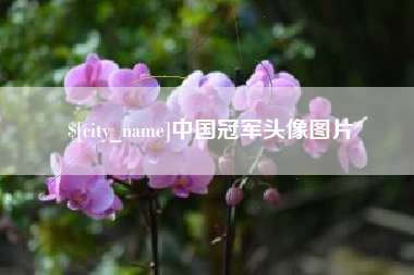 果洛中国冠军头像图片