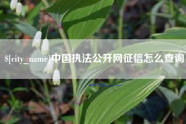 果洛中国执法公开网征信怎么查询