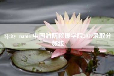果洛中国消防救援学院2019录取分数线