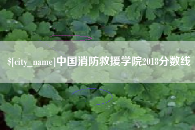 果洛中国消防救援学院2018分数线