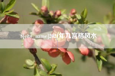 果洛2021年九宫格风水