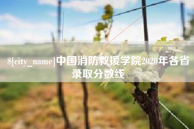 果洛中国消防救援学院2020年各省录取分数线