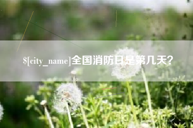 果洛全国消防日是第几天？