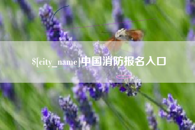 果洛中国消防报名入口