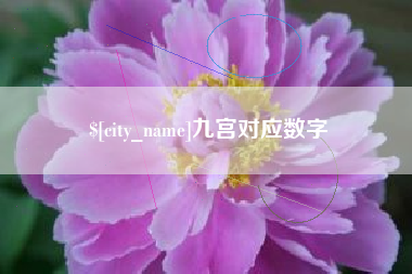 果洛九宫对应数字