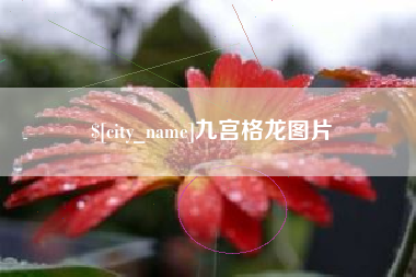 果洛九宫格龙图片