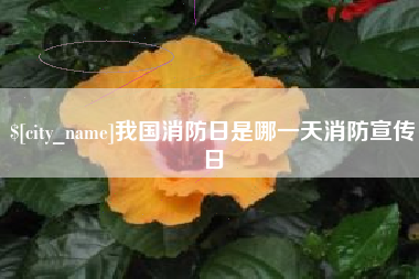果洛我国消防日是哪一天消防宣传日