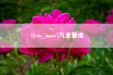 果洛九金是谁