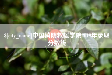 果洛中国消防救援学院2019年录取分数线