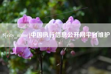 果洛中国执行信息公开网平台维护