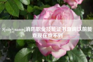 果洛消防职业技能证书查询以前能查现在查不到