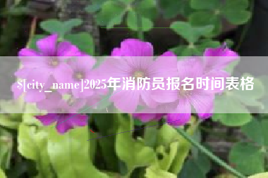 果洛2025年消防员报名时间表格