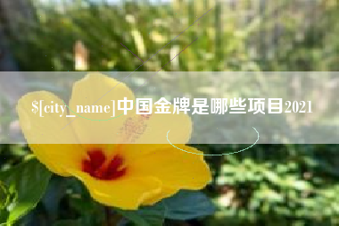 果洛中国金牌是哪些项目2021