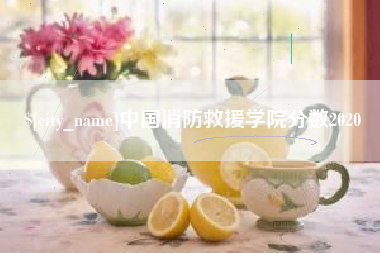 果洛中国消防救援学院分数2020