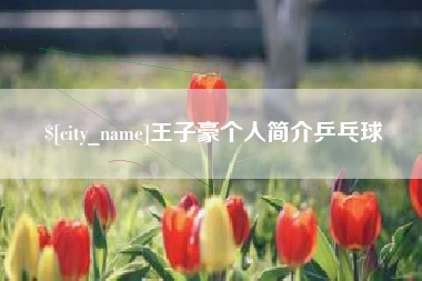 果洛王子豪个人简介乒乓球