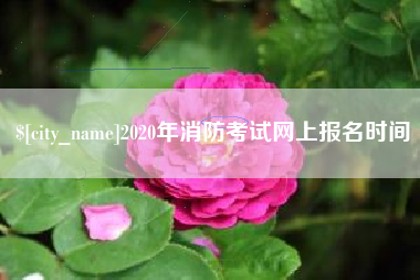 果洛2020年消防考试网上报名时间