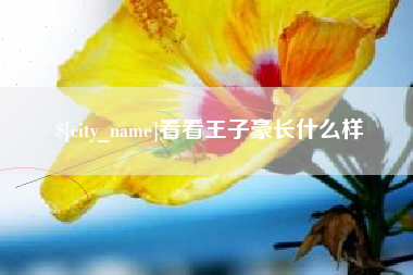 果洛看看王子豪长什么样