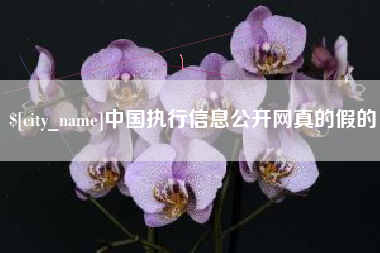 果洛中国执行信息公开网真的假的