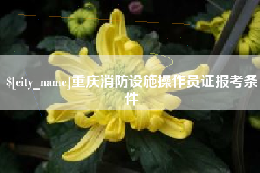果洛重庆消防设施操作员证报考条件