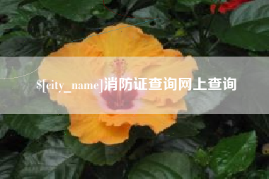 果洛消防证查询网上查询
