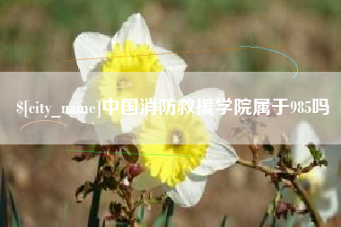 果洛中国消防救援学院属于985吗