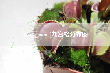 果洛九宫格分布图
