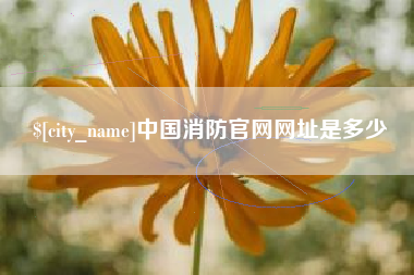 果洛中国消防官网网址是多少