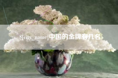 果洛中国的金牌有几名