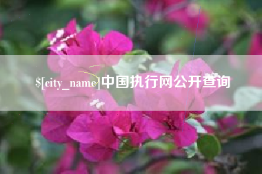 果洛中国执行网公开查询