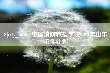 果洛中国消防救援学院2021年山东招生计划
