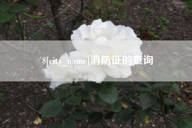 果洛消防证的查询