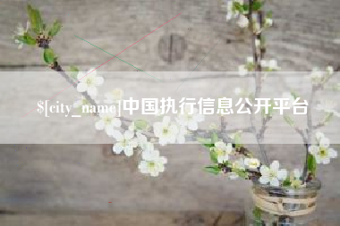 果洛中国执行信息公开平台