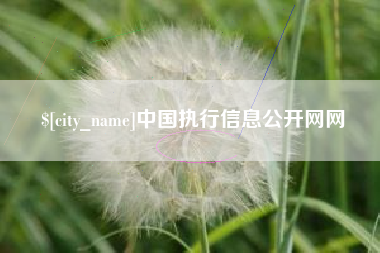 果洛中国执行信息公开网网