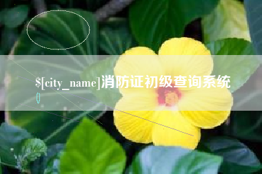 果洛消防证初级查询系统