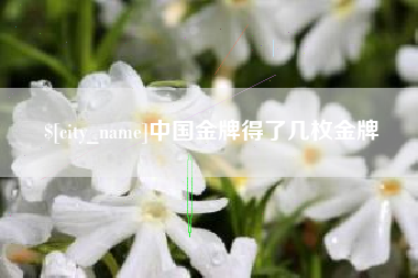 果洛中国金牌得了几枚金牌