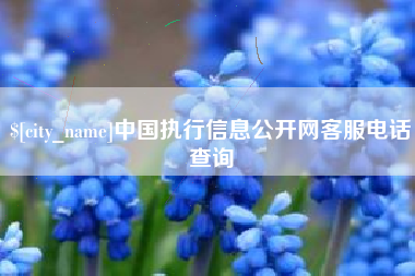 果洛中国执行信息公开网客服电话查询