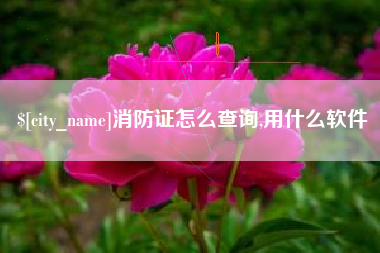 果洛消防证怎么查询,用什么软件
