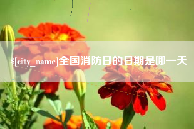 果洛全国消防日的日期是哪一天