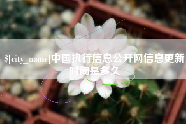 果洛中国执行信息公开网信息更新时间是多久
