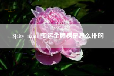 果洛奥运金牌榜是怎么排的
