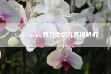 果洛西方命数九宫格解析