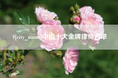 果洛中国十大金牌律师名单