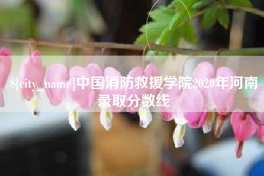 果洛中国消防救援学院2020年河南录取分数线
